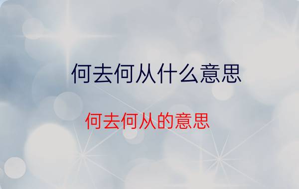 何去何从什么意思 何去何从的意思